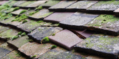 Houghton roof repair costs